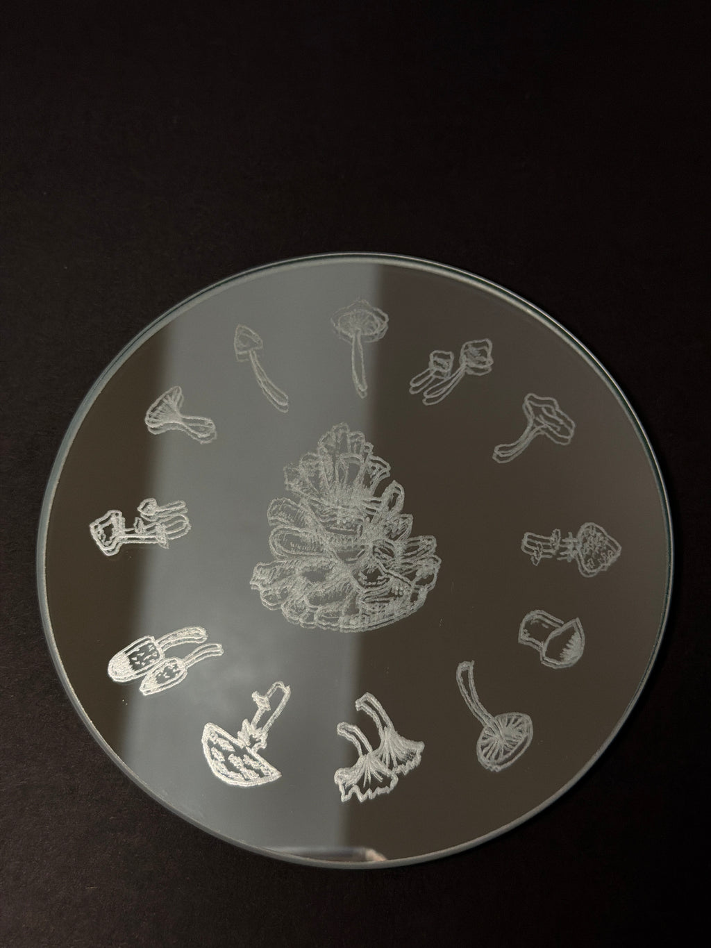 Mushroom coaster