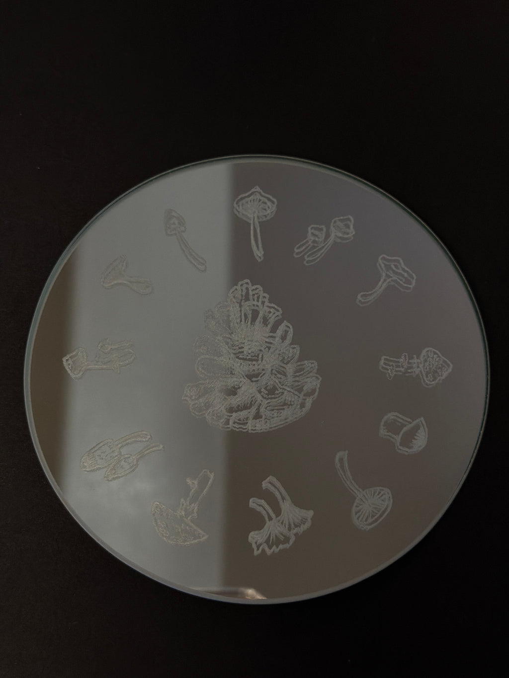 Mushroom coaster